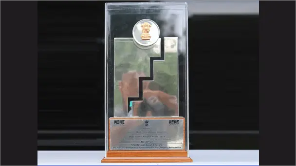National Award for Outstanding Entrepreneurship