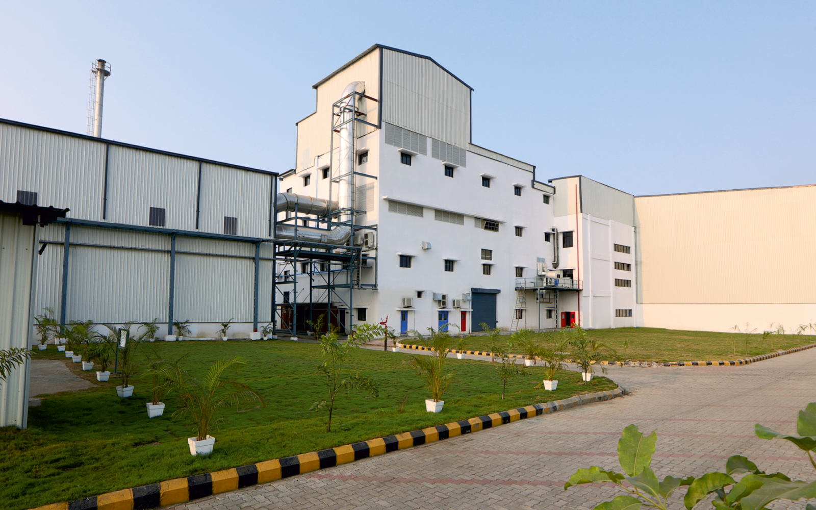 Multi-Excipient Plant