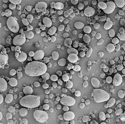 TABSOL® SODIUM STARCH GLYCOLATE